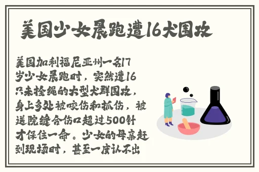 疯狂农场3美国派